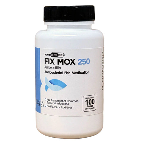 Fix Mox (Amoxicillin) Capsules Fish Antibiotics